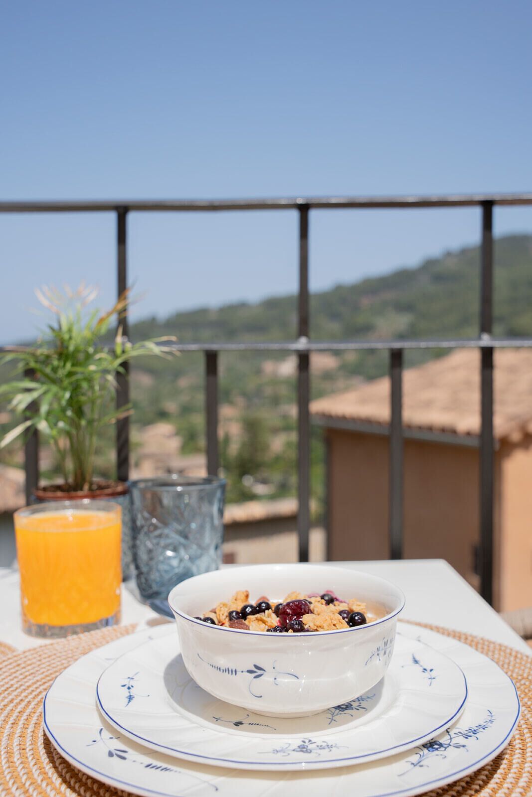 Un bol de céréales garni de baies, posé sur une assiette blanche à motifs bleus, un verre de jus d’orange et une plante en pot sur un balcon offrant une vue sur un paysage vallonné.