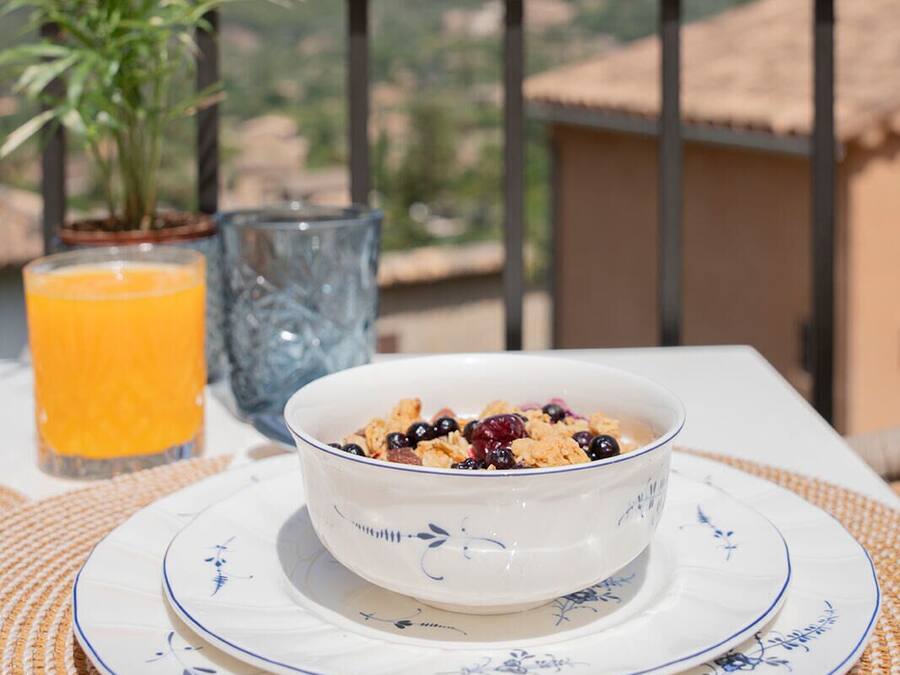 Un bol de céréales garni de baies, posé sur une assiette blanche à motifs bleus, un verre de jus d’orange et une plante en pot sur un balcon offrant une vue sur un paysage vallonné.