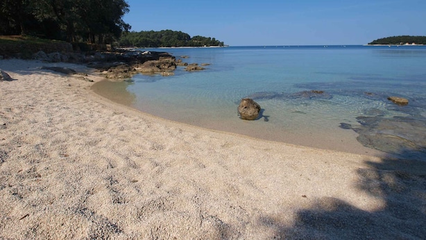 A beach with clear water, pebbly shore, and trees in the background. - Holiday apartment with air conditioning (Rovinj)