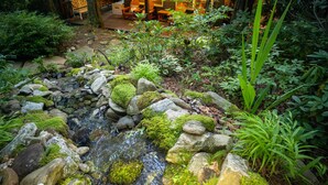 Ein friedlicher Garten mit einem kleinen Bach, Steinen und üppigem Grün.