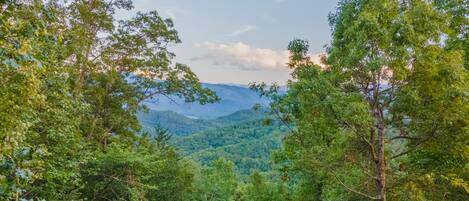 A view from a wooden deck overlooking a forested mountain range.
