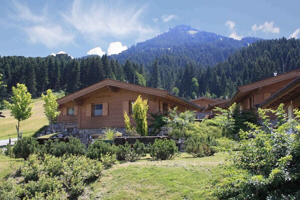 A wooden cabin with a stone foundation, surrounded by lush greenery and a mountainous backdrop.