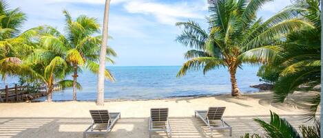 Appartement | 2 chambres, Internet