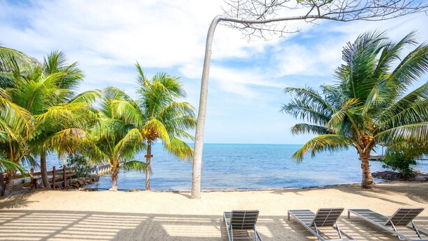 A beach with palm trees, a wooden fence, and three empty lounge chairs. - Oceanfront Sunset Gecko Condo - Second Floor 2A (Placencia)
