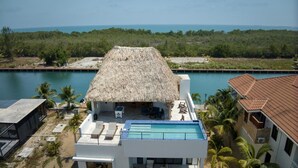 A modern house with a thatched roof, a swimming pool, and a view of the sea.