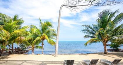 Oceanfront Sunset Gecko Condo - Second Floor 2B