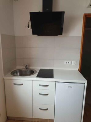 Fridge, stovetop - Studio with pool and barbecue (Novigrad)