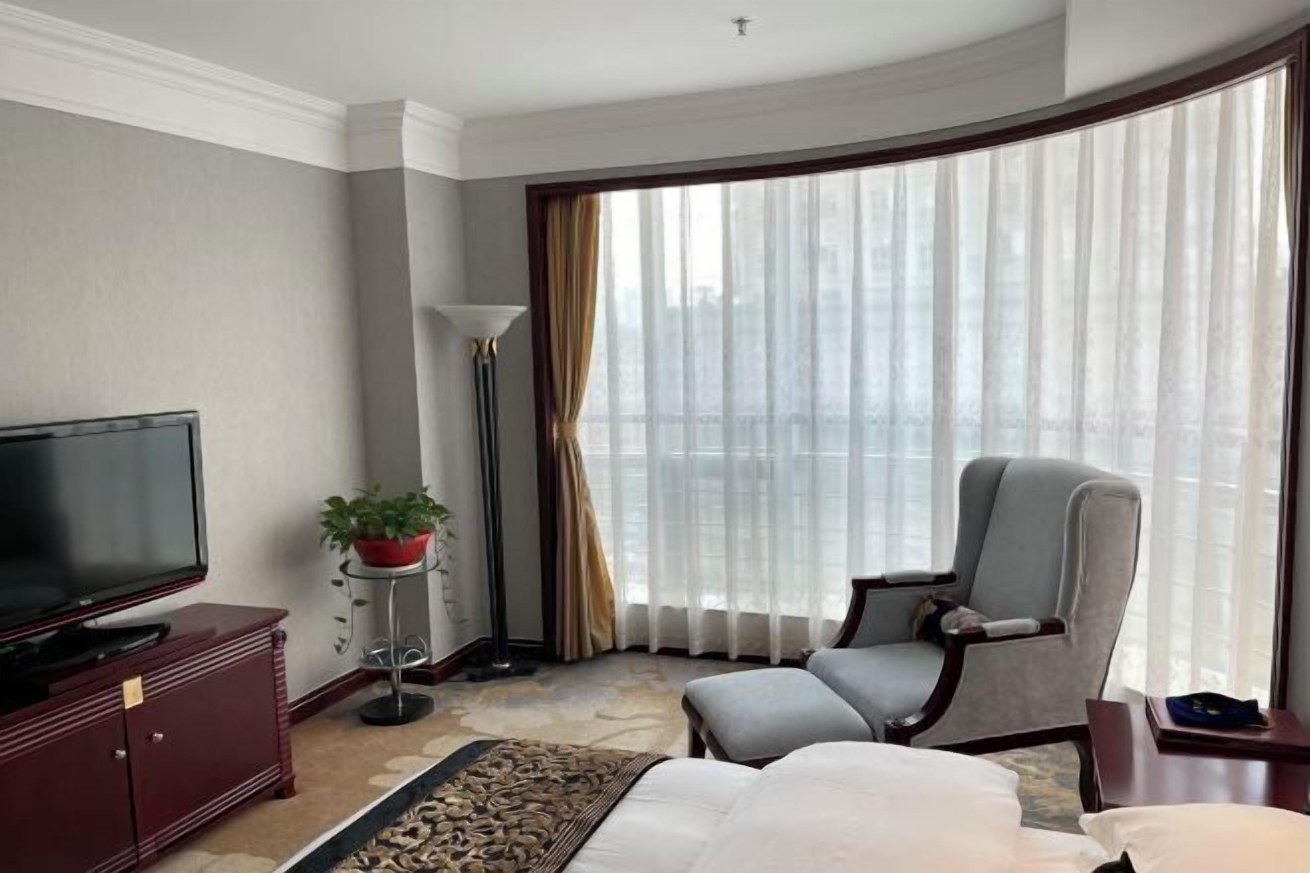 A hotel room with a bed, a TV, a chair, a plant, and a large window with curtains.