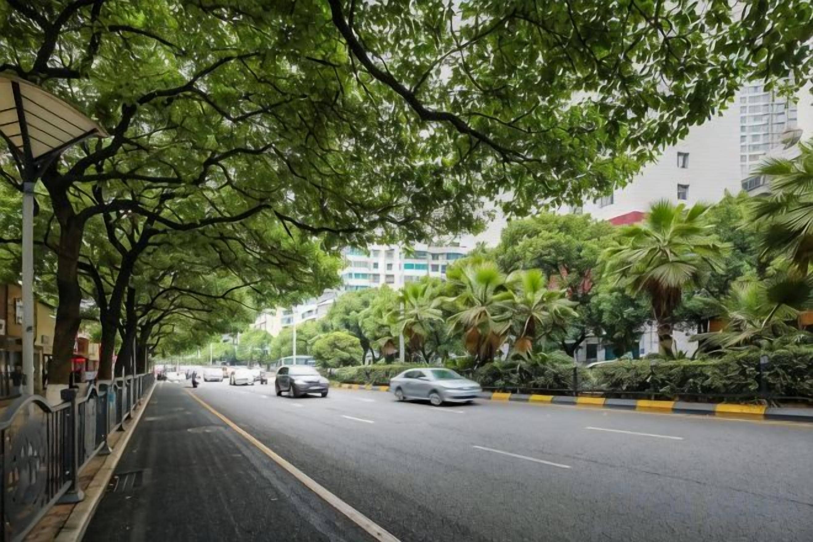 A tree-lined street with parked cars and buildings in the background.