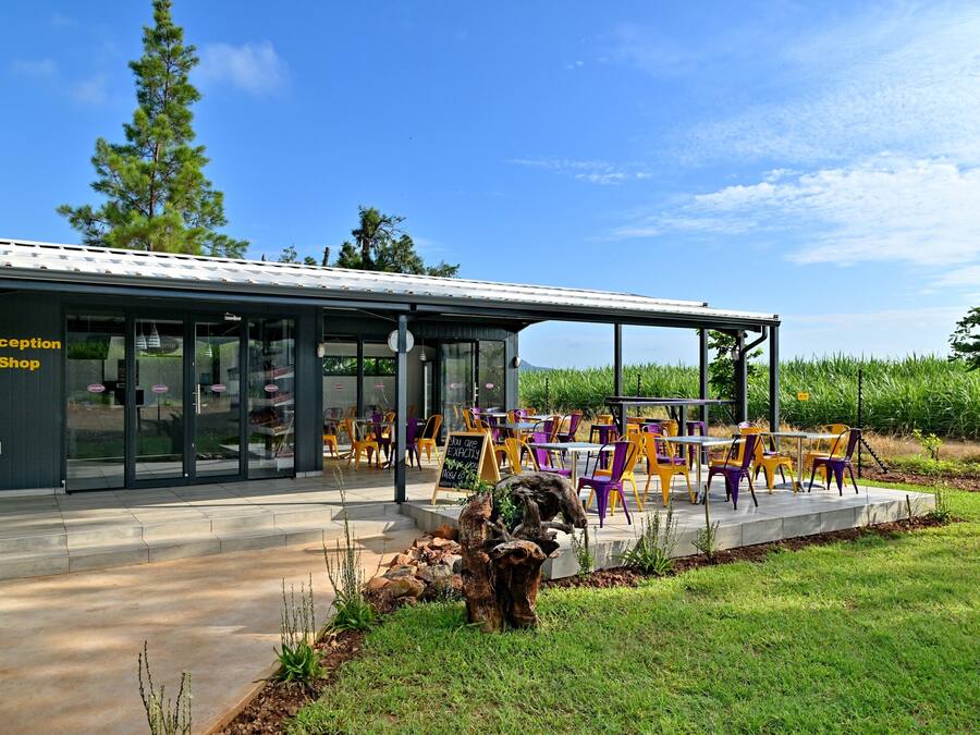 Teras/patio