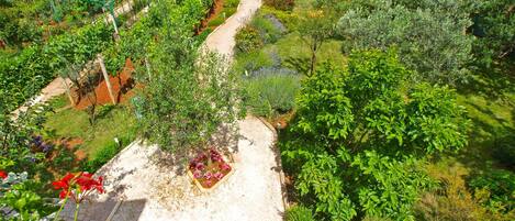 Overnatningsstedets område