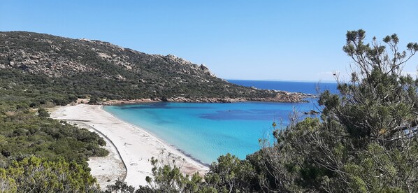 Beach - Appartement 45m2 à 15 Minutes de Sartène (FOCE)