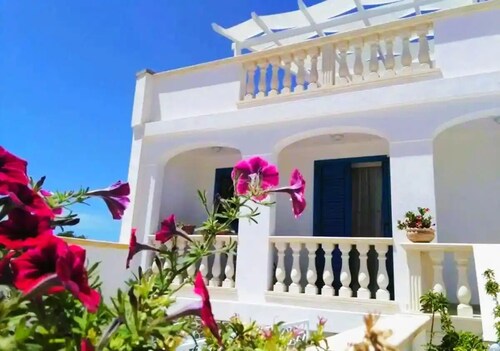 Comfortable apartment with 2 large sea-view terraces. We are pet-friendly!
