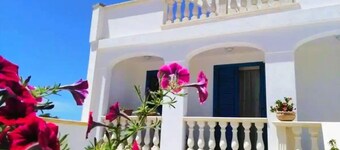 Comfortable apartment with 2 large sea-view terraces. We are pet-friendly!