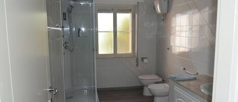 Shower, hair dryer, bidet, towels