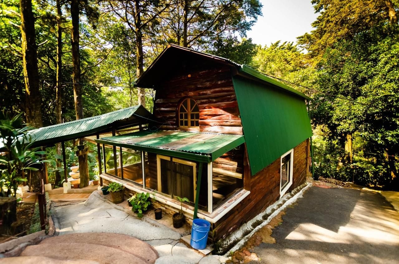 Une cabane en bois avec un toit vert, entourée d’arbres.