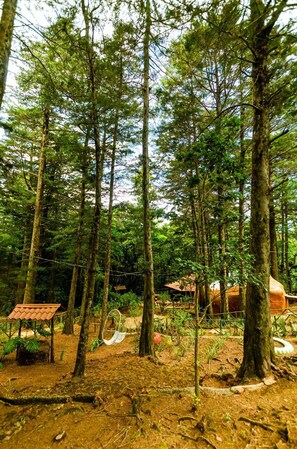A forested area with tall trees, a hammock, and a small building with a red roof. - Cabañas Lunas del Poas  (Sabana Redonda)