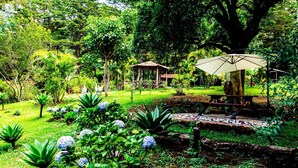 A lush garden with a gazebo, a small pond, and various plants. - Cabañas Lunas del Poas  (Sabana Redonda)