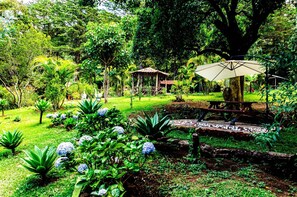 A lush garden with a gazebo, a small pond, and various plants. - Cabañas Lunas del Poas  (Sabana Redonda)