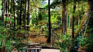 A forested area with a stone bench and a wooden staircase leading up. - Cabañas Lunas del Poas  (Sabana Redonda)