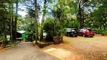 A paved path leading to a green-roofed building, surrounded by dense forest and parked cars.