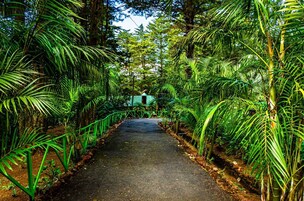 Entrada de la propiedad