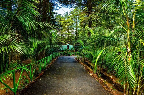 Cabañas Lunas del Poas 