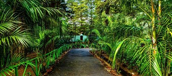 Cabañas Lunas del Poas 