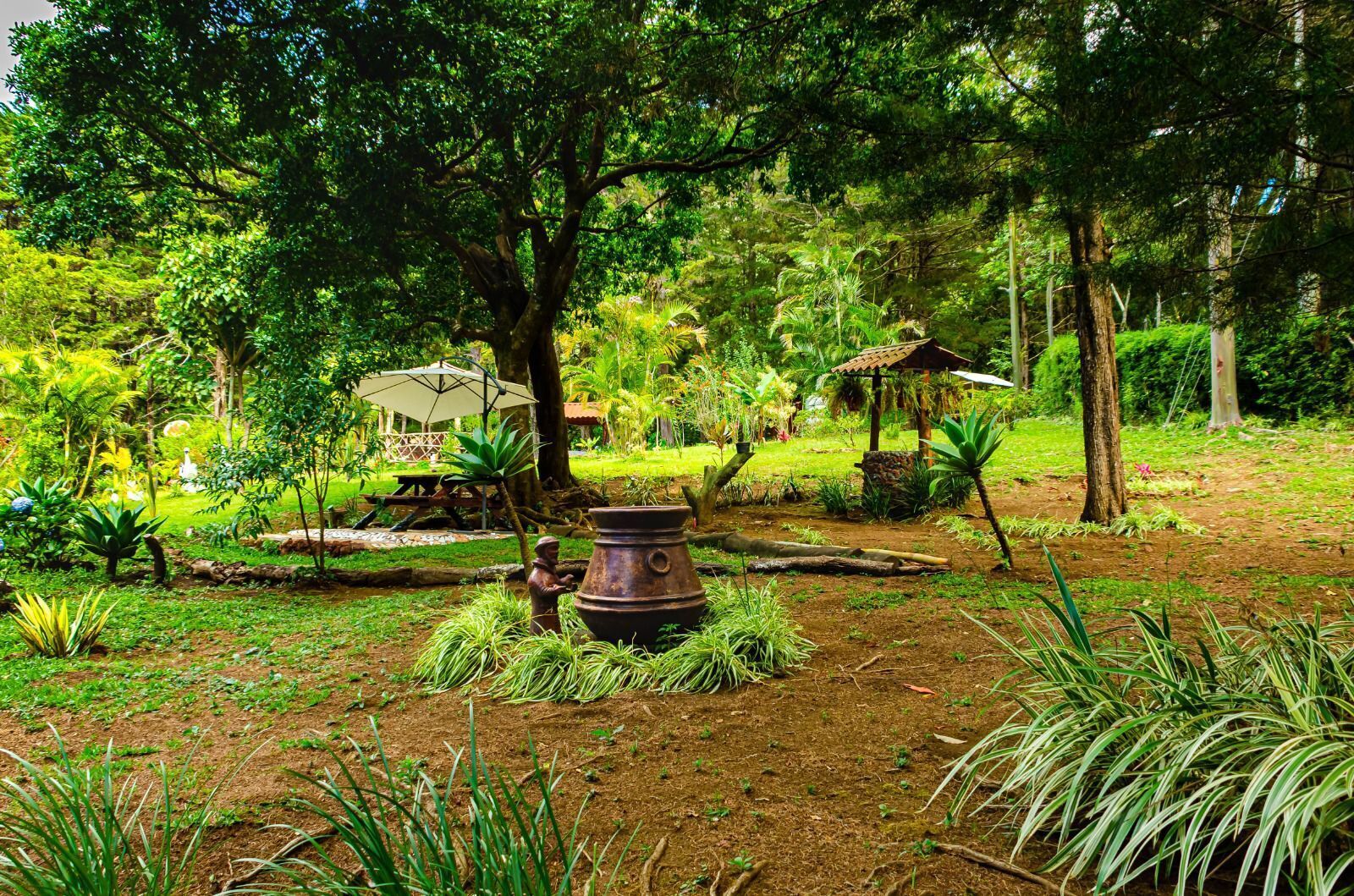 Taman