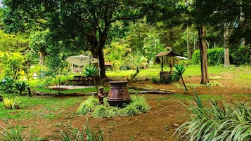 Taman