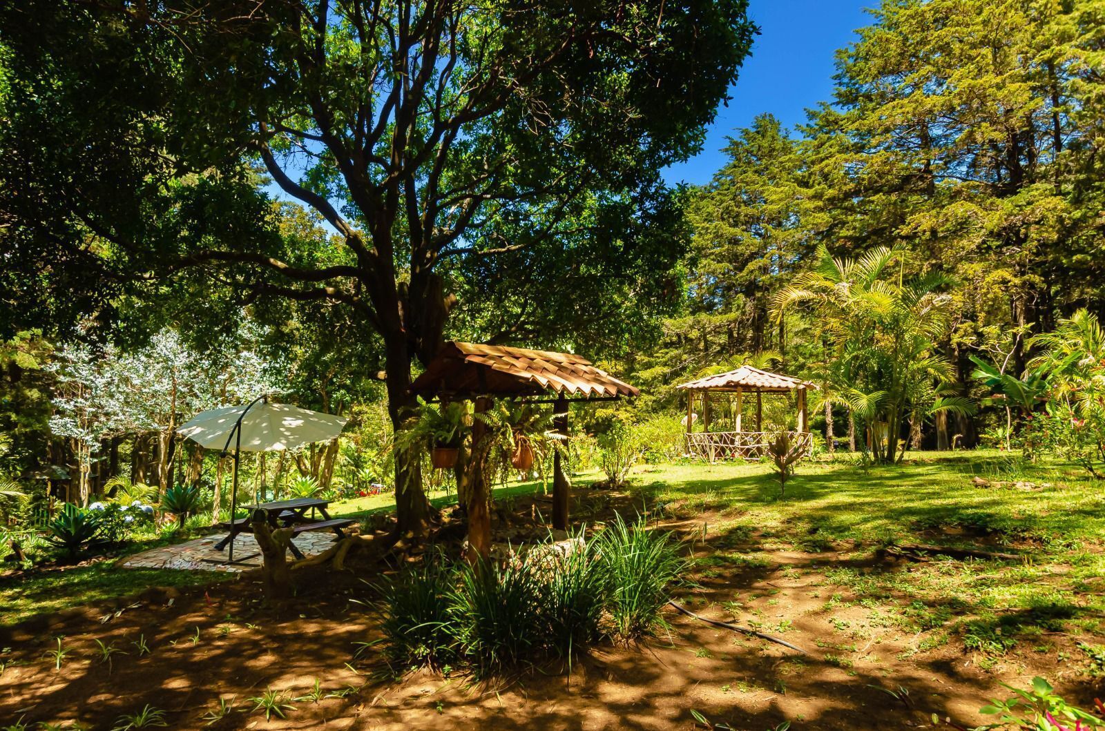 A garden with a gazebo, picnic tables, and a small pond.