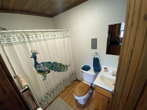 Towels, soap, shampoo, toilet paper