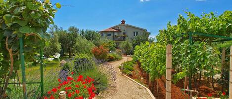 المنطقة المحيطة بالمنشأة