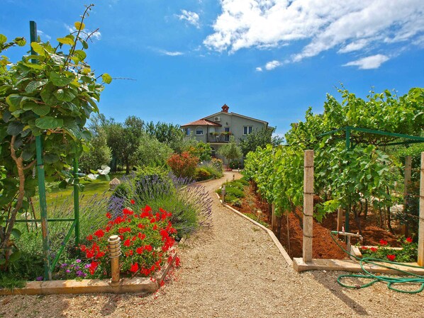 Property grounds - Holiday apartment with air conditioning (Fažana)