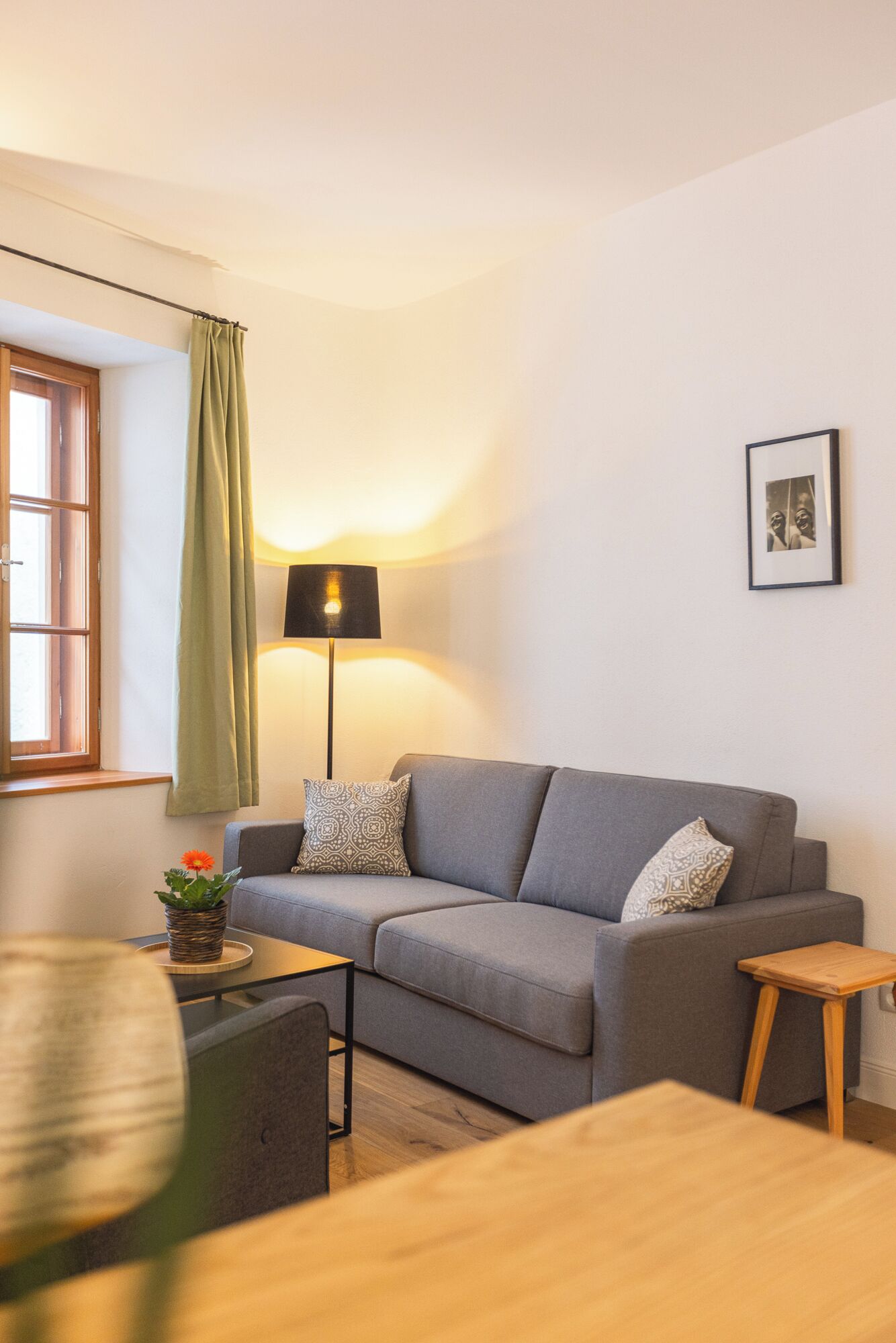 A modern living room with a grey sofa, two patterned throw pillows, a floor lamp, a small wooden side table, and a potted plant.