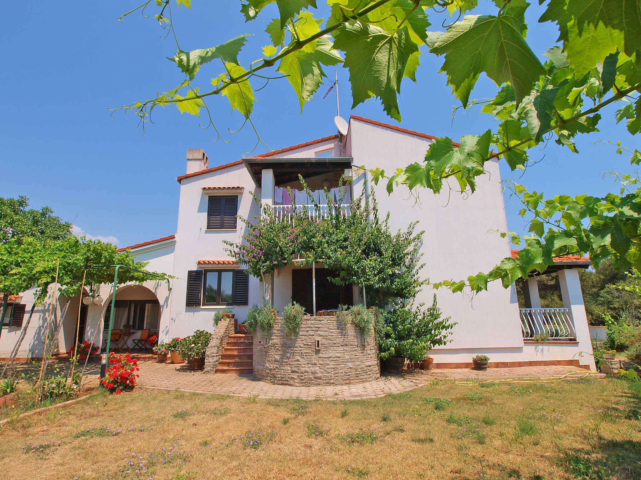 A two-story house with a stone staircase leading to the entrance, surrounded by a garden with potted plants and a small tree.