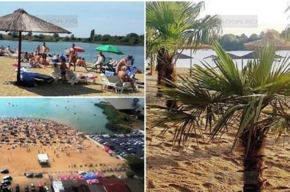 شاطئ