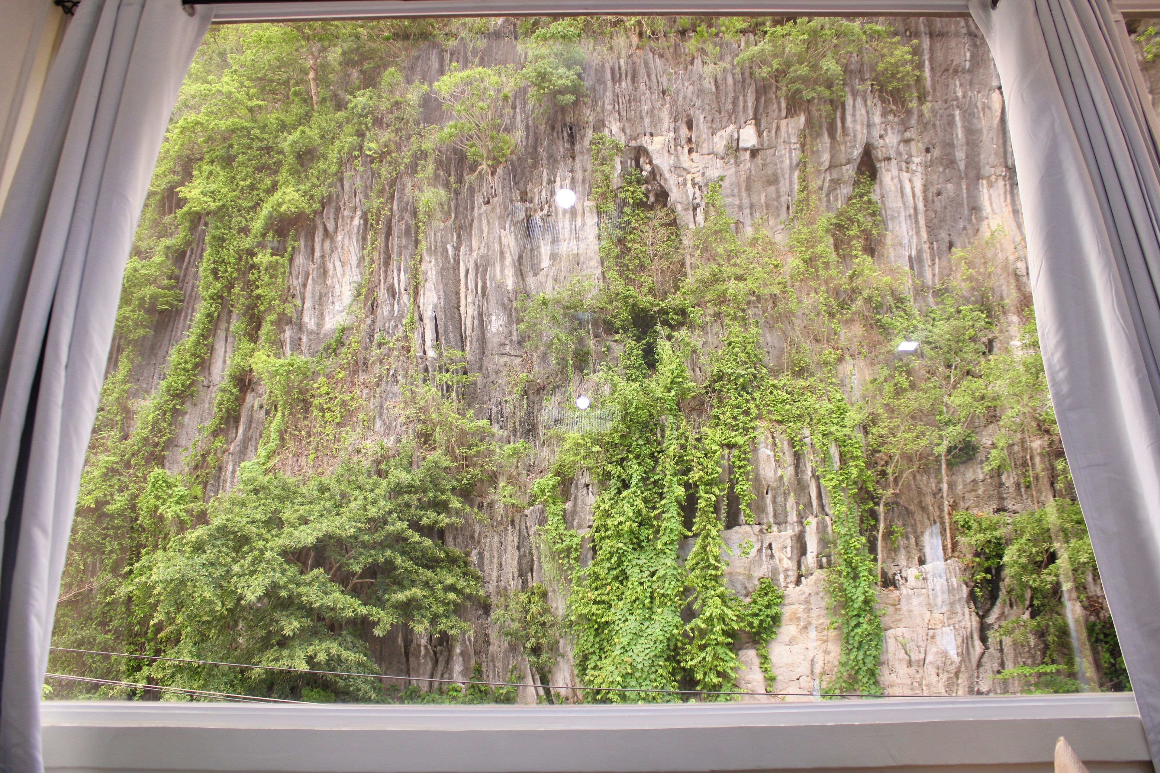 Estudi en suite Deluxe