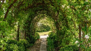 An archway covered in green foliage leading to a pathway. - Midsummer Mill - Five Bedroom Apartment, Sleeps 8 (Bourton-on-the-Water)