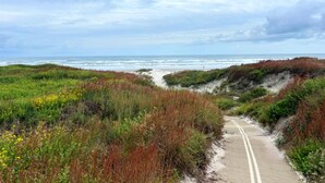 A coastal road leading to the beach with dunes and vegetation. - Remodeled 3BR Condo: Private Beach Access, Pool View, & Walking Distance to Town (Port Aransas)