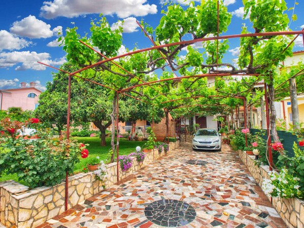 Terrain de l’hébergement 