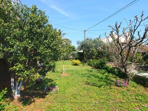 Property grounds - Holiday apartment with air conditioning (Premantura)