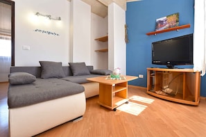 Fernseher