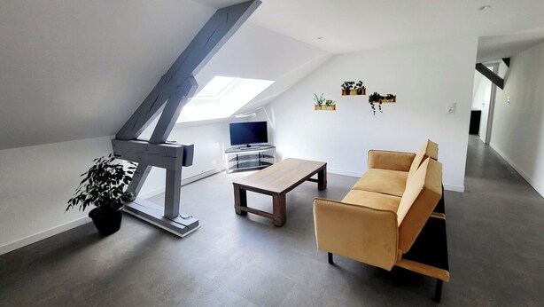 Un salon moderne avec un plafond de style industriel, un canapé, une table basse et un téléviseur.