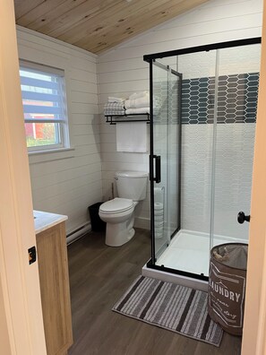 Hair dryer, towels, soap, toilet paper