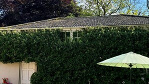 Een gebouw met een pannendak, een deur en een tuin met planten en een parasol.