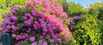 Landlust im Reetdachhaus