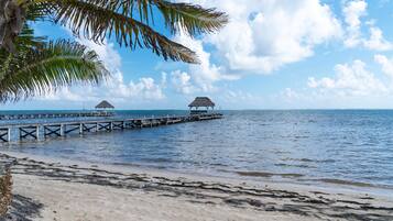 House, Ensuite, Sea View (Luxury Seaside Villa) | Beach | On the beach, white sand, kayaking