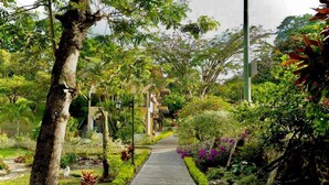 A pathway leading through a lush garden with various plants and a building in the background. - Hotel Nana  (Villeta)