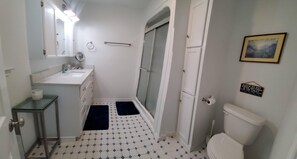 Regadera, secadora de cabello, toallas, jabón 